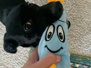Tender-Tuffs bottle rocket dog toy play
