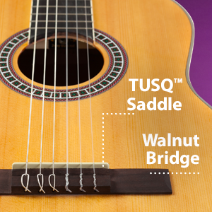 Hola Music HG-39GLS Full size Classical Guitar Bundle Pack with, picks, bag, truss rod, Hex Key