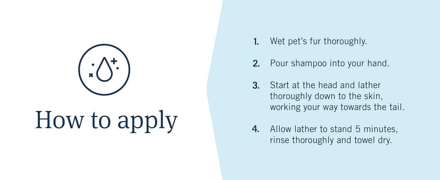 How to apply