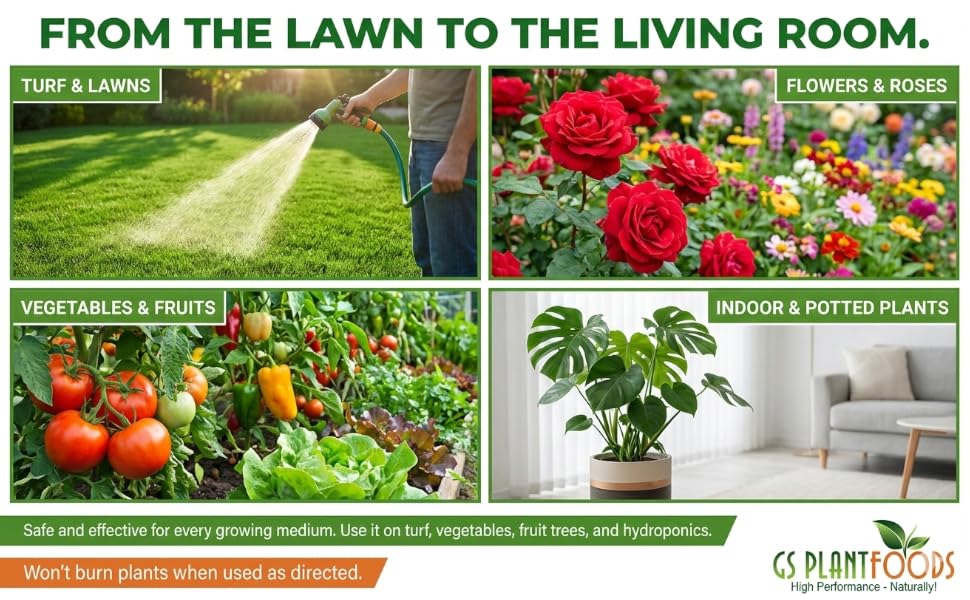 lawn vegetables fruits flowers roses indoor potted plants