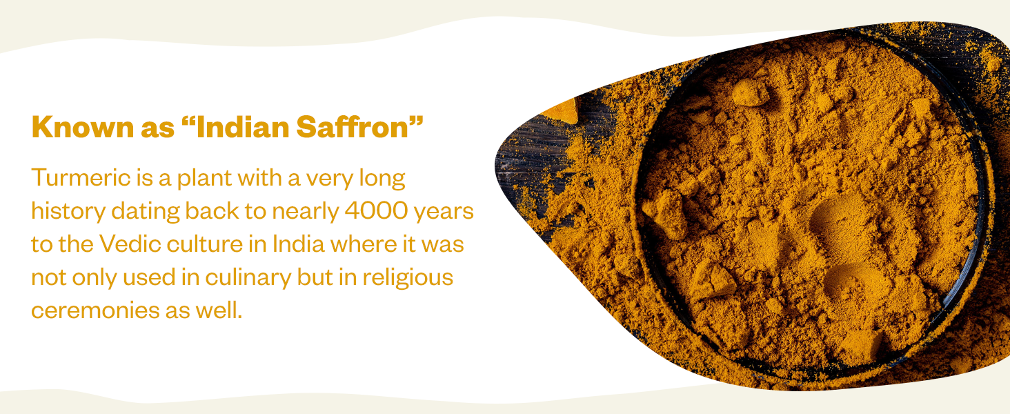 Known as Indian Saffron