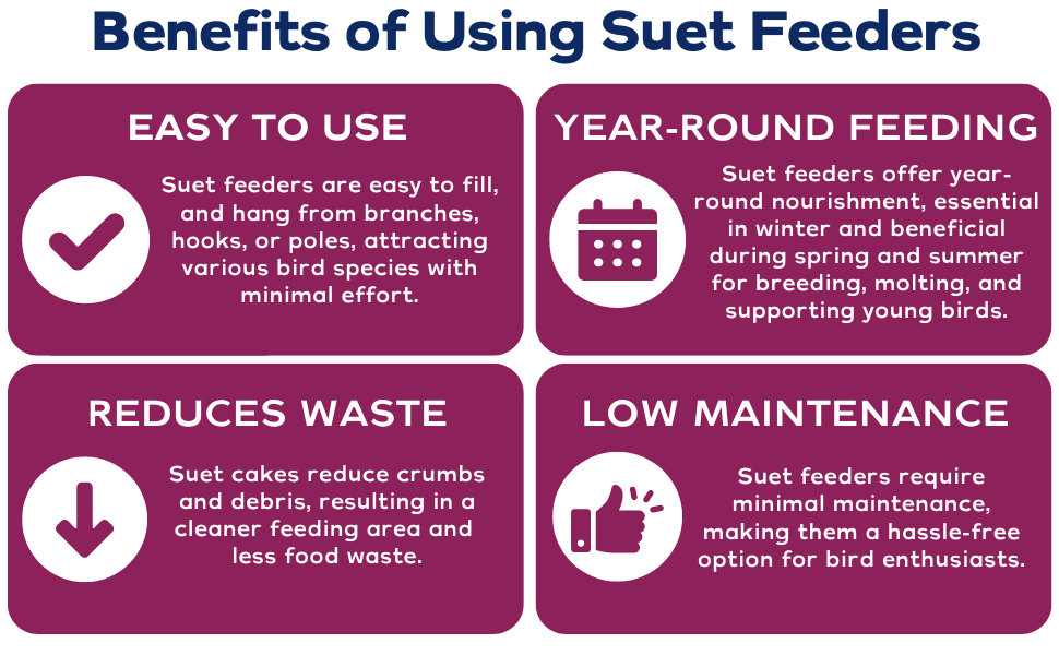 Armstrong Benefits of Using Suet Feeders