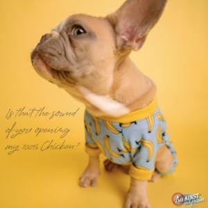 chicken dog food