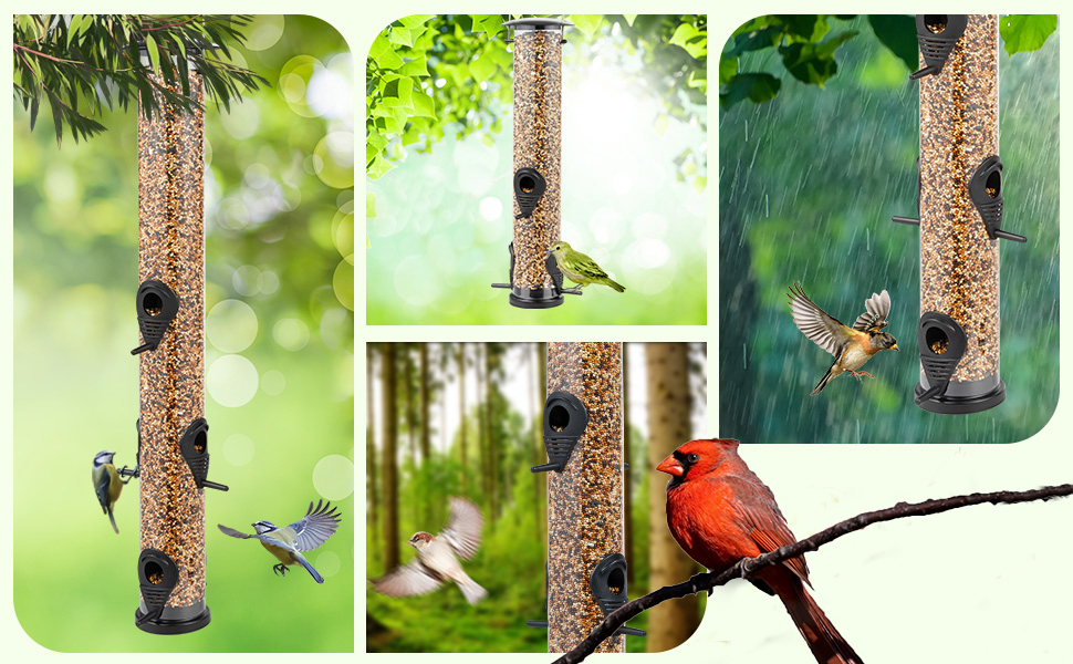 Bird Feeding For all types of birds