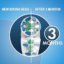 Replace Every 3 Months