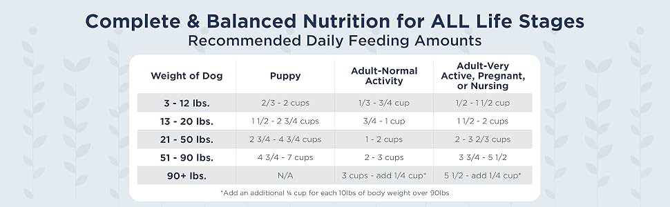 feeding guide