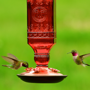 Perky-Pet 24 oz. Red Glass Antique Bottle Hummingbird Feeder