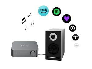 Audio system setup with grey amplifier unit, black speaker, and floating music service icons including Spotify and other streaming platforms.