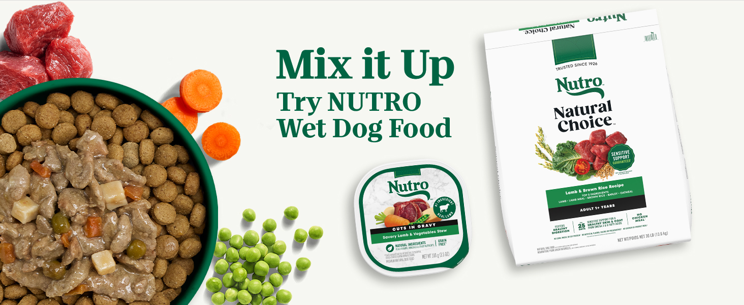 nutro dry dog food