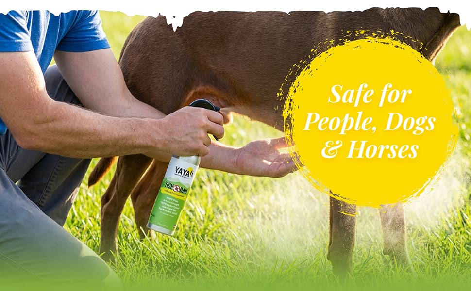 Applying Tick Ban natural bug spray to a dog; safe for people, dogs &amp;amp; horses