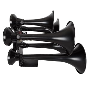 Outlaw Horn Image Valve