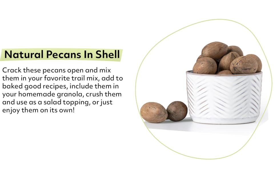 Natural Pecans in shell