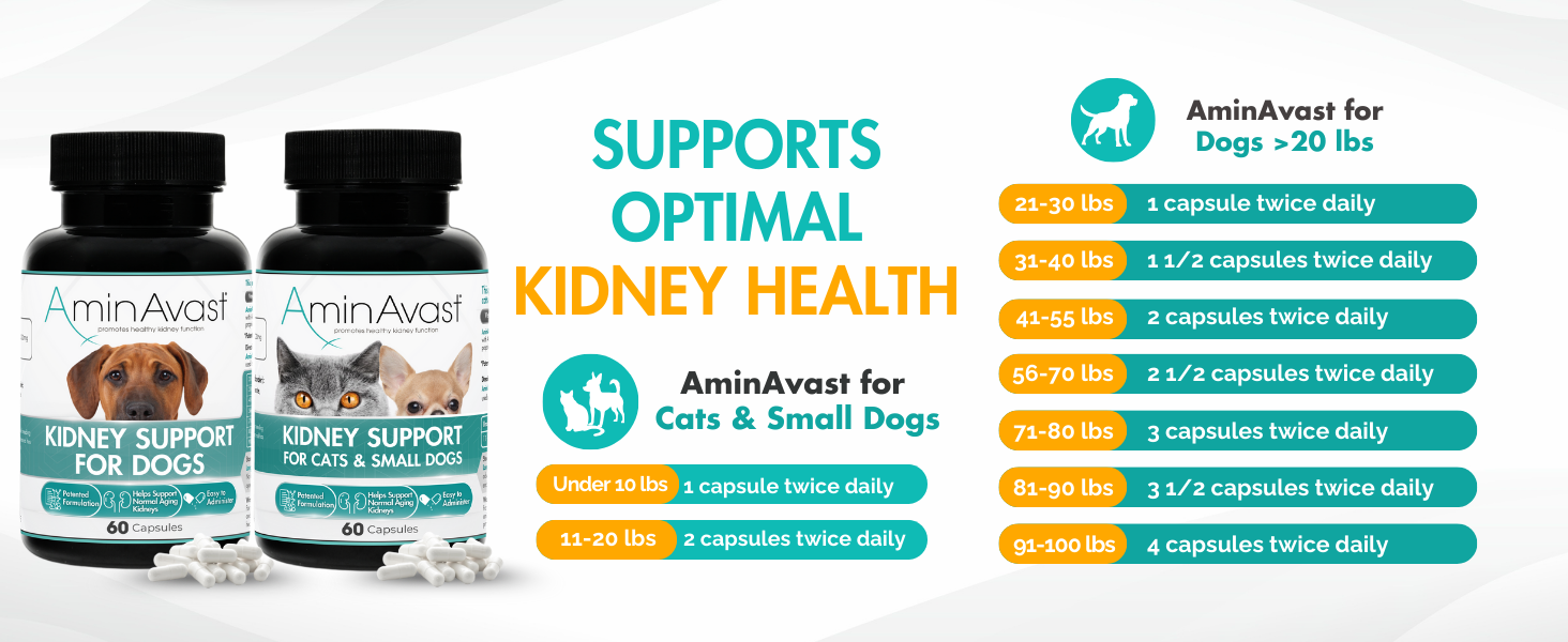 aminavast for cats, aminavast for dogs, cat kidney support, kidney support for cats