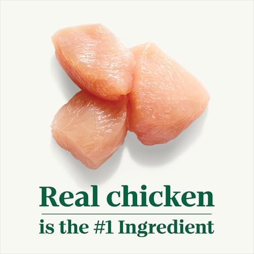 Nutro Puppy Tender Cuts Wet Dog Food, Chicken & Rice, 3.5 oz, 24 count | Bites in gravy, real chicken #1 ingredient, 100% complete & balanced for puppies up to 1 year, no artificial flavors
