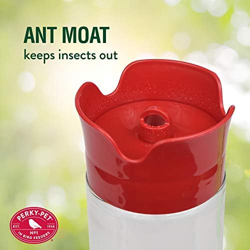 Perky-Pet 210PB Pinch-Waist Glass Hummingbird Feeder with Perches, Built-in Ant Moat and Bee Guards - Outdoor Garden Decor, Unique Gifts