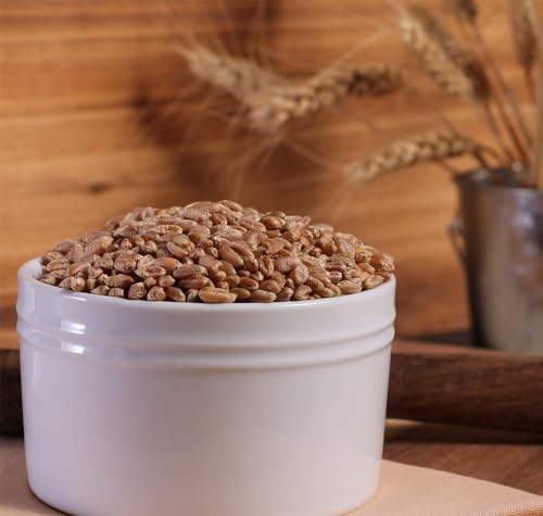 Organic Hard Red Wheat Berries - 3lbs