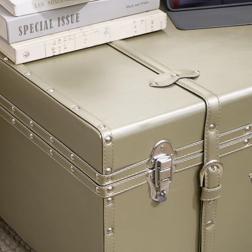 DormCo Texture® Brand Trunk - Glitter Gold 29"L x 20"W x 14"H