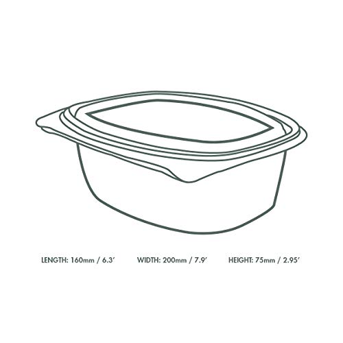 Vegware Compostable 32oz Hinged Clear Deli Containers, Case of 200, PLA Plastic Meal Prep, To Go Box With Lid, Made from PLA, A Renewable Material Made from Plants, Tight Seal for Freshness