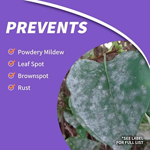 Bonide Fruit Tree & Plant Guard, 32 oz Concentrate | Multi-Purpose Fungicide, Insecticide, Miticide, For Home Gardening