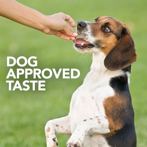 Vet's Best Probiotic Soft Chews for Dogs, Digestive Aid, 30 Day Supply | Probiotic Soft Chews, Supports Digestive Health & Healthy Gut Flora, Daily Supplement for Dogs, 30 Day Supply