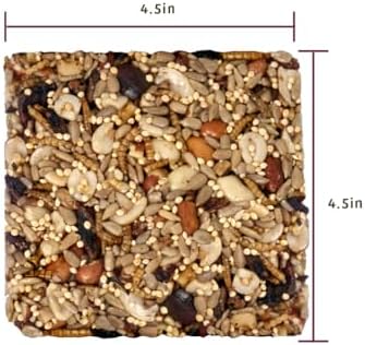 Birds Choice Bugs 'N Nuts Seed Cake | Wild Bird Food with Insects & Fruit | High-Energy Mix of Sunflower Chips, Peanuts