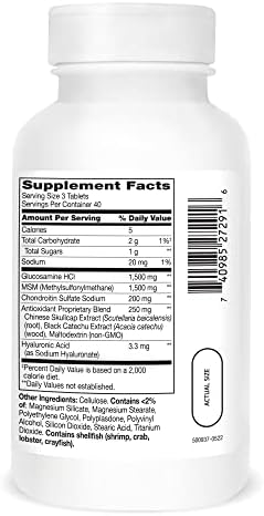 21st Century Glucosamine Chondroitin Advanced with MSM, Joints, 120ct | Advanced Glucosamine Chondroitin with MSM, Joint