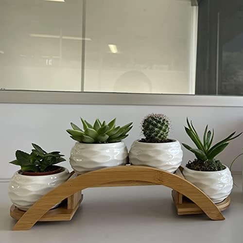 E-liu Eliu Cute Small Ceramic Succulent Pots and Stand Set, Pack of 4 | White Succulent Planter Pot with Drainage Fits Well In Windowsills