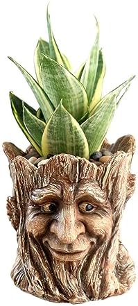 Funny Planter Head Face Plant Pot with Drainage Hole Resin Succulent Plant Holder Pencil Holder Desk Organizer Office Garden Gift (Smile Face)