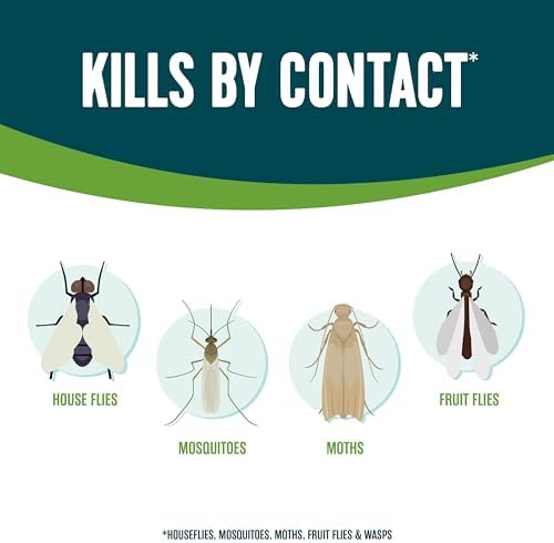 Ecologic Flying Insect Killer, 14 Ounces, Aerosol Formula Made With Cornmint Cinnamon And Clove Oil Kills Houseflies, Mosquitoes, Moths, Fruit Flies