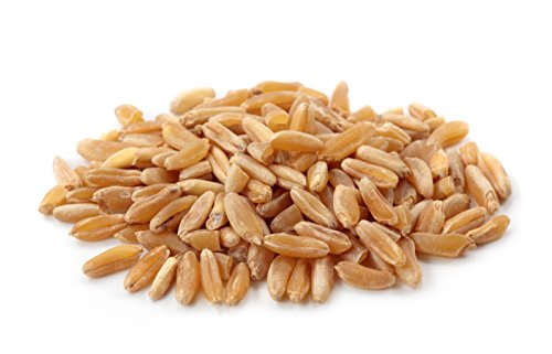 Yupik Organic Kamut Grains, 2.2 lb (35.2 oz), Non-GMO, Vegan, Kosher, Raw Whole Grains, Khorasan Wheat, Nutty Flavor, Source of Fiber & Iron, Ideal for Cooking & Sprouting