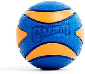 Chuckit! Ultra Ball Dog Toy, Balls for Dogs to Fetch, Durable Rubber, Small 2-inch, Pack of 2