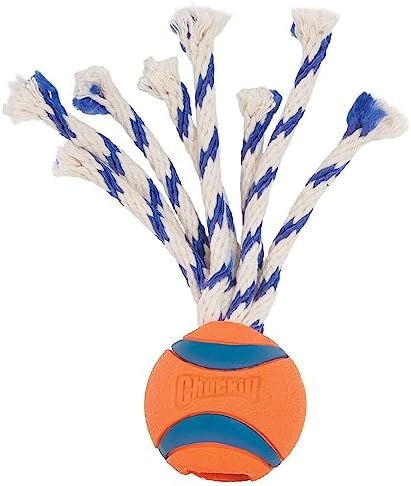 Chuckit! Ultra Tug Dog Toy - Ultra Ball on a Durable Nylon Cord Handle - Fetch and Tug-of-War Toy for Dogs - Size Large - For Breeds 60-100 lbs - 3-inch Diameter - Orange and Blue