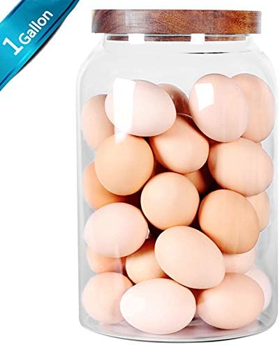 SAIOOL Egg Jar,kitchen canister， 1 Gallon Large Glass Food Storage Jars with Airtight Lid, Clear