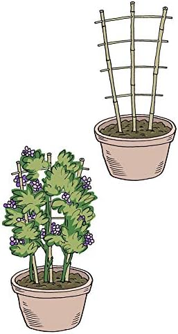 Natural Bamboo Trellis 24 Inches Tall, Mininfa Garden Ladder Trellis, Plant for Climbing Plants, Vegetables, Pots - 3 Pack