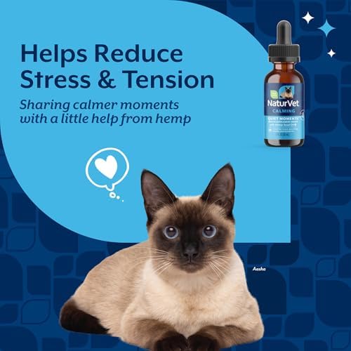 NaturVet Quiet Moments Calming Plus Melatonin Cat Supplement - 50 Count | Calming Aid for Cats - Reduce Stress, Pet Storm Anxiety, Motion Sickness - Great for Grooming, Separation and Travel