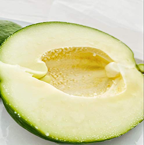 Kejora Fresh Green Papayas 2 PCS (about 2LB per pc)