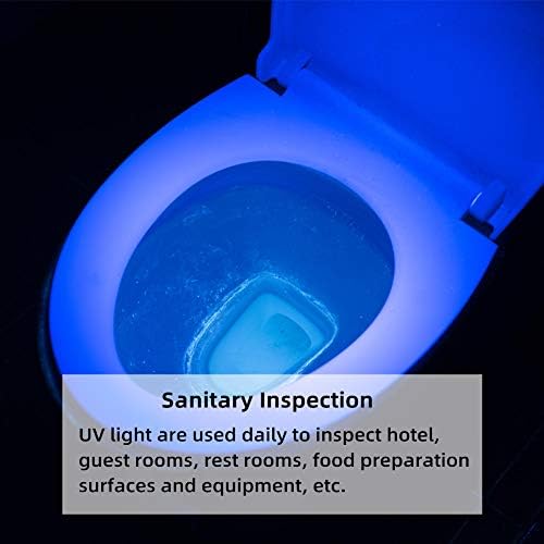Weltool Professional UV Flashlight 365nm Black Light Max. 2060mW High Power for Glue Curing, AC Leak Detector, Rocks and Mineral Glowing, Pet Urine Detector, Non Destructive Testing
