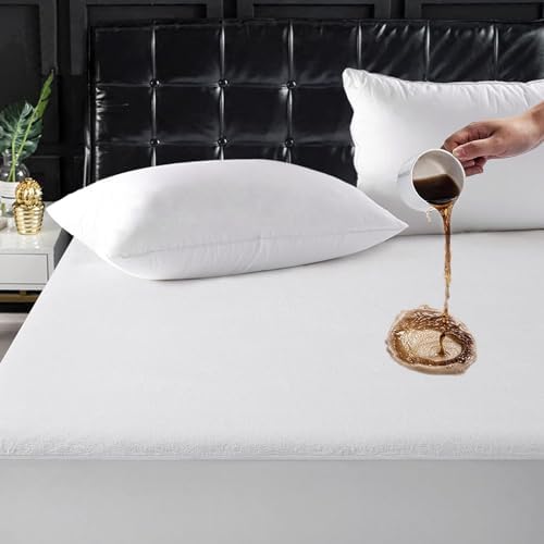 TASTELIFE Queen Waterproof Mattress Protector, Microfiber, 60x80 Inches | 8"-21" Deep Pocket Smooth Fitted Cover, Soft Breathable & Noiseless, Vinyl-Free Machine Washable