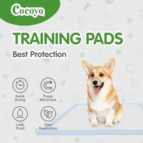 COCOYO Training Pads, 30"X36", 40 Count, XXL