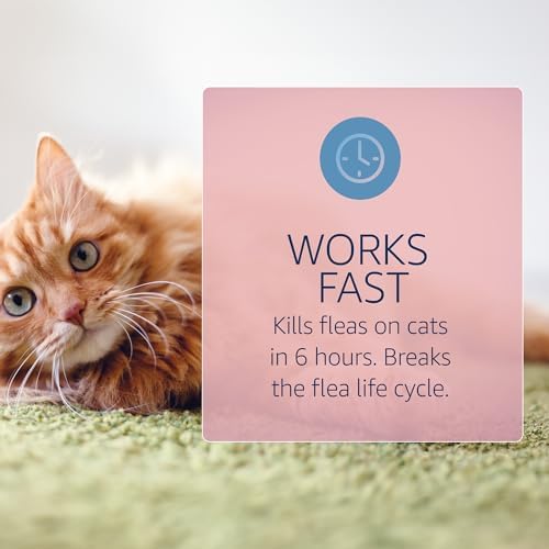 Catego Flea and Tick Prevention for Cats - Over 1.5 lbs, 3 Month Supply | No Prescription Required, Cat Flea Treatment Topical Drops, Fast Acting Flea & Tick Control Drops, Easy to Apply