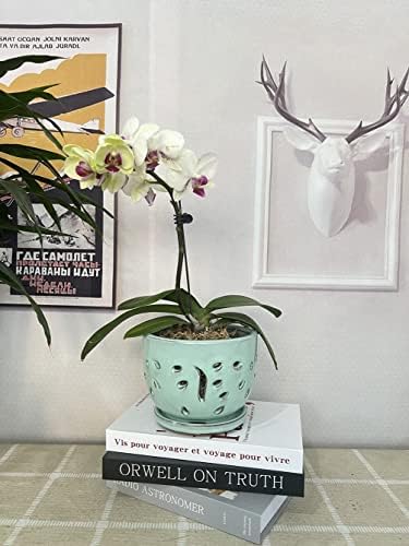 Orchid Pots with Holes Round Ceramic Flower Container Succulent Plant Planter Butterfly Pot Saucer Windowsill Contemporary Home Decoration (6 Inch