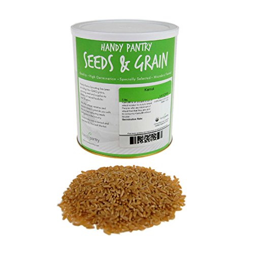 Handy Pantry Organic Kamut Seeds – 35 lb – Bulk Ancient Grain | Emergency Food Storage, Baking, Sprouting, Milling