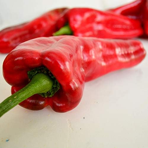 Marconi Red Pepper - 25 Seeds - Giant Sweet Italian Pepper, Heirloom Pepper Variety, USA-Grown