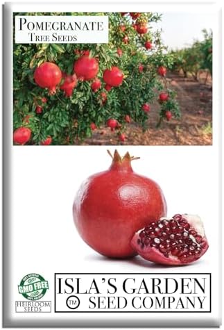 Pomegranate Tree Seeds (Punica granatum) – 30+ Non-GMO Fruit Tree Seeds for Planting, Beautiful Ornamental Tree with Sweet Edible Fruit