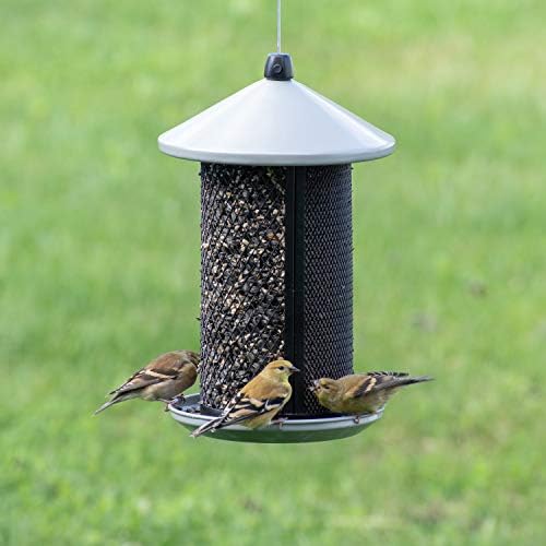 Perky-Pet Dual Mesh Wild Bird Seed Feeder - Holds up to 2.85 lb Wild Bird Seed - Dual Compartment for Seeds and Thistle - TSS00349