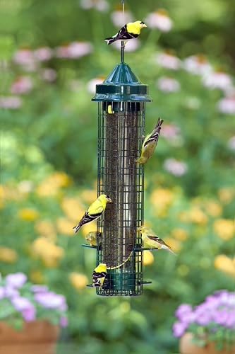 Squirrel Buster® Nyjer® – Squirrel-Proof Nyjer®/Thistle 2.4-pound Seed Capacity Feeder w/8 Feeding Ports & 4 Perches, Easy Fill & Clean