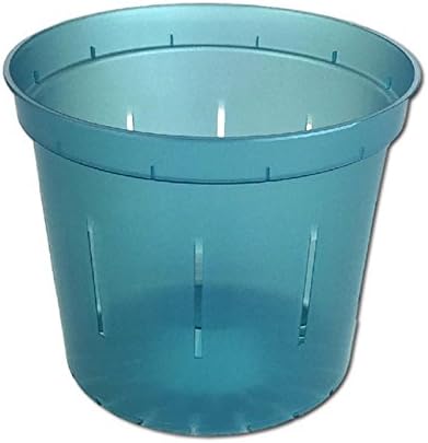 Orchid Pot - 6 inch Slotted Clear Orchid Pots - 3 Pack (Crystal Clear)