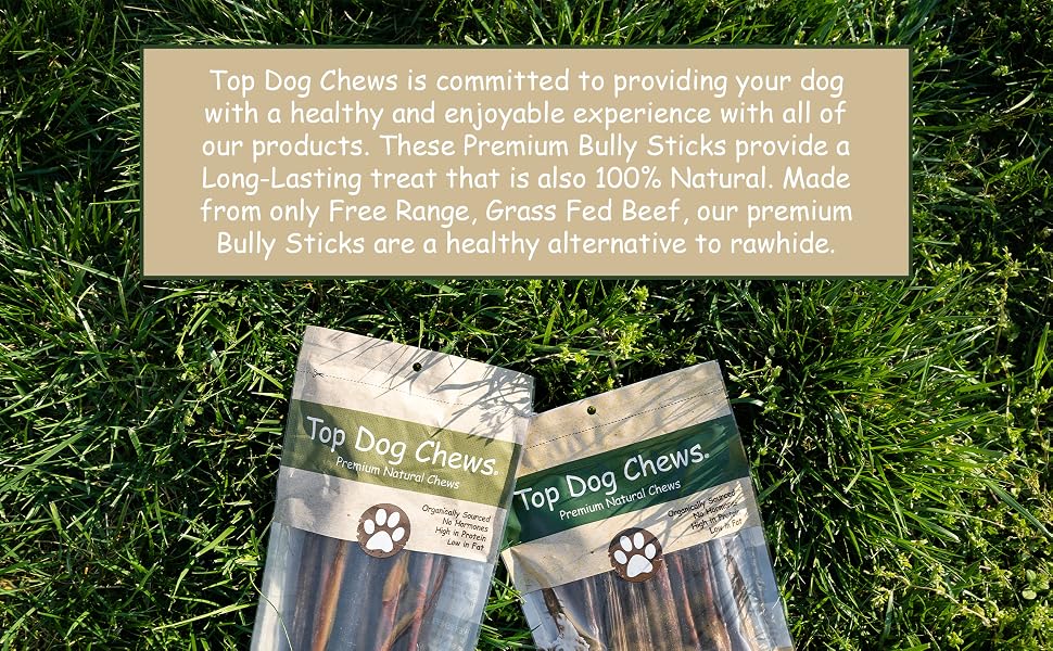 bully stick aggressive chewer thick treat perro dog small medium large chew bite jerky