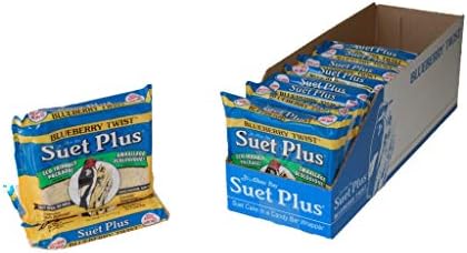 Suet Plus Zesty Orange Suet 12 Pack