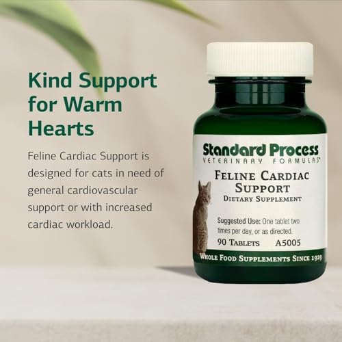 Standard Process Inc. Feline Cardiac Support - Cardiovascular System Supplement for Felines - Dietary Cat Supplement to Support Heart Health &